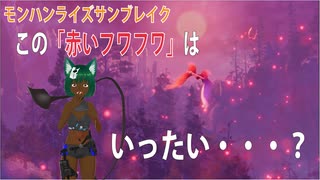 【MHRise:SB：継承の狼龍娘07】暴走した巨大ゴリラと戦います＆謎の『赤いフワフワ』を見ました【vsガランゴルム＆ＭＲプケプケしっぽ切り狩猟】