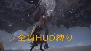 全員HUD縛り常夜カリゴ【ナイトレイン】
