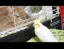 おかえり