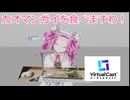 【四国めたん(大嘘)】カオマンガイを食べますわ、と意気込んだものの...【VirtualCast】【NAirボイチェン】