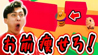 たまには普通のノックアウトも良いよね【フォールガイズ】
