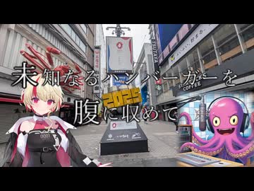 未知なるハンバーガーを腹に納めて【part15】【大阪編3】