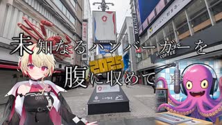 未知なるハンバーガーを腹に納めて【part15】【大阪編3】