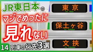 【第十四弾】JR東日本のマジでめったに見れないレア行先3選【JR東日本】【ゆっくり解説】 ＃Shorts