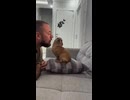 ホモと見る嫌そうだけど体は正直な犬