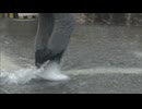 福岡県福岡地方と筑豊地方に線状降水帯