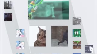 柴又＋＋
