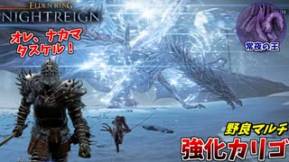 何度仲間が倒れても絶対に見捨てないトゲトゲおじさんの強化カリゴ:野良マルチ【ELDEN RING NIGHTREIGN】