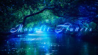 オリジナル民族調曲 Moonlit Flutters : 月と煌めくもの