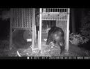(苦戦中の対熊戦）変態忍者の、有害鳥獣駆除従事活動記・その３４１