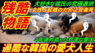 【韓国残酷物語】過酷な韓国の愛犬人生、女性と結婚のために安楽死を選択！