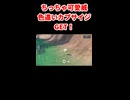 ひよこみたい 色違いカプサイジGET【ポケットモンスタースカーレット 実況】