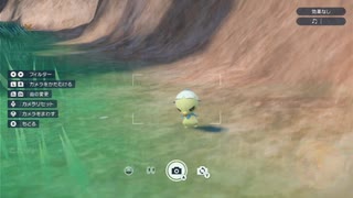 ひよこみたい 色違いカプサイジGET【ポケットモンスタースカーレット 実況】