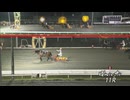 第37回ばんえいグランプリ メムロボブサップ