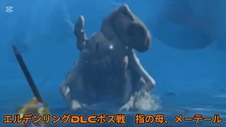 エルデンリングDLCボス戦　指の母、メーテール