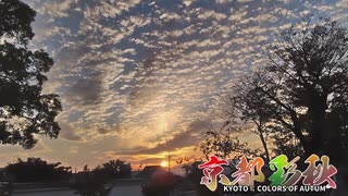 京都彩秋
