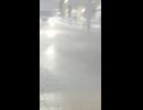 九州大雨やばいな... #雨 #福岡 #粕屋町