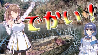 【CeVIOフィッシング】ミノーイング修行 その4【すそのフィッシングパーク】