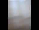 77657592339__33378138-7956-4D70-B257-48C6300DD8B1