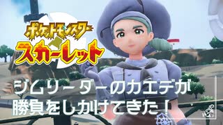 【むしジムvsむし】ポケモンSc 虫贔屓 初見のんびり実況【22話目】