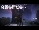 #195【ELDEN RING】ここ観光スポットとして良いよね！【エルデンリング初見実況】