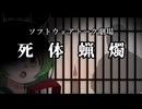 【ソフトウェアトーク劇場】死体蝋燭