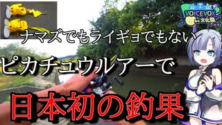 【事件発生】ピカチュウさん、ナマズ狙いでとんでもない魚を釣ってしまう【ＤＡＩＳＯ穴釣りミニロッド】【VOICEROIDフィッシング】
