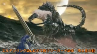 エルデンリングDLCボス戦　ツリーガード2体　降る星の獣
