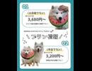 FUFUsamoyed