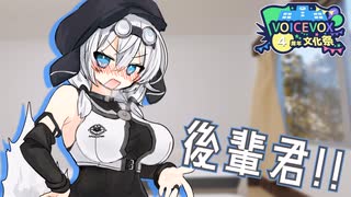 私の大切な…【ソフトウェアトーク劇場】