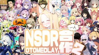 NSDR一人合作2【OTOMEDLAY】