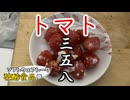 【ST発酵食品祭2025】ミニトマトの三五八漬け