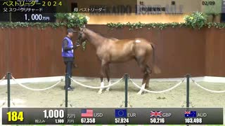 【2025北海道セレクションセール】2日目　上場番号151～200