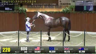 【2025北海道セレクションセール】2日目　上場番号201～250
