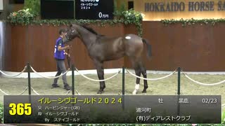 【2025北海道セレクションセール】2日目　上場番号351～372（最終）