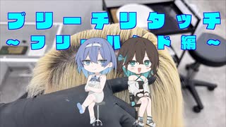 【ヘアカラー解説風幻覚】すず宮二人でフリーハンドリタッチの解説【すずきつづみ・宮舞モカ】