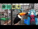 【静岡県#9】掛川花鳥園（後編）（with初音ミク）