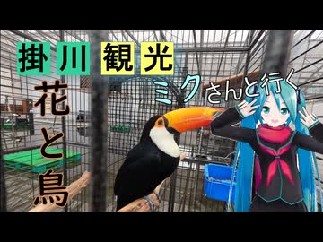 【静岡県#9】掛川花鳥園（後編）（with初音ミク）