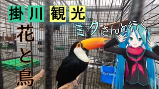 【静岡県#9】掛川花鳥園（後編）（with初音ミク）