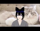 流れが分かる日本史　応仁の乱　その１