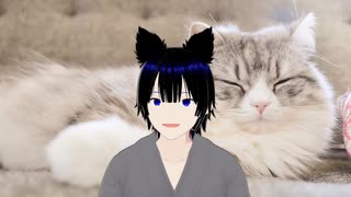 流れが分かる日本史　応仁の乱　その１