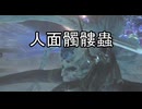 初見実況【ELDEN RING】貧弱主人公が王となる冒険　パート44