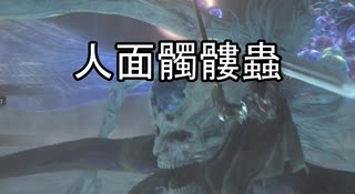 初見実況【ELDEN RING】貧弱主人公が王となる冒険　パート44