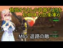 貧弱そらさんの初期体力地球防衛軍6　48