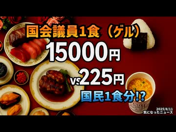 【給付金なぜ2万円だったのかが判明】◆ゲル『なるべく安く済ませて一食1万5000円』国民は225円！？