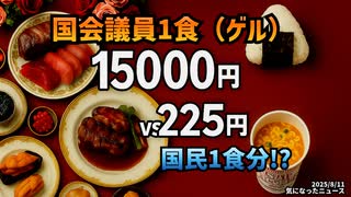 【給付金なぜ2万円だったのかが判明】◆ゲル『なるべく安く済ませて一食1万5000円』国民は225円！？