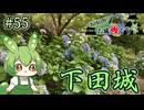 【お城めぐり】ずんだもんとゆくお城めぐり#55 下田城