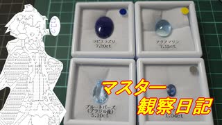 心筋梗塞マスター観察日記 25_32