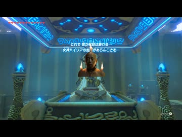 リンクに試練を与える修行兄貴