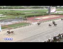 第49回岐阜金賞 サンヨウスフィーダ